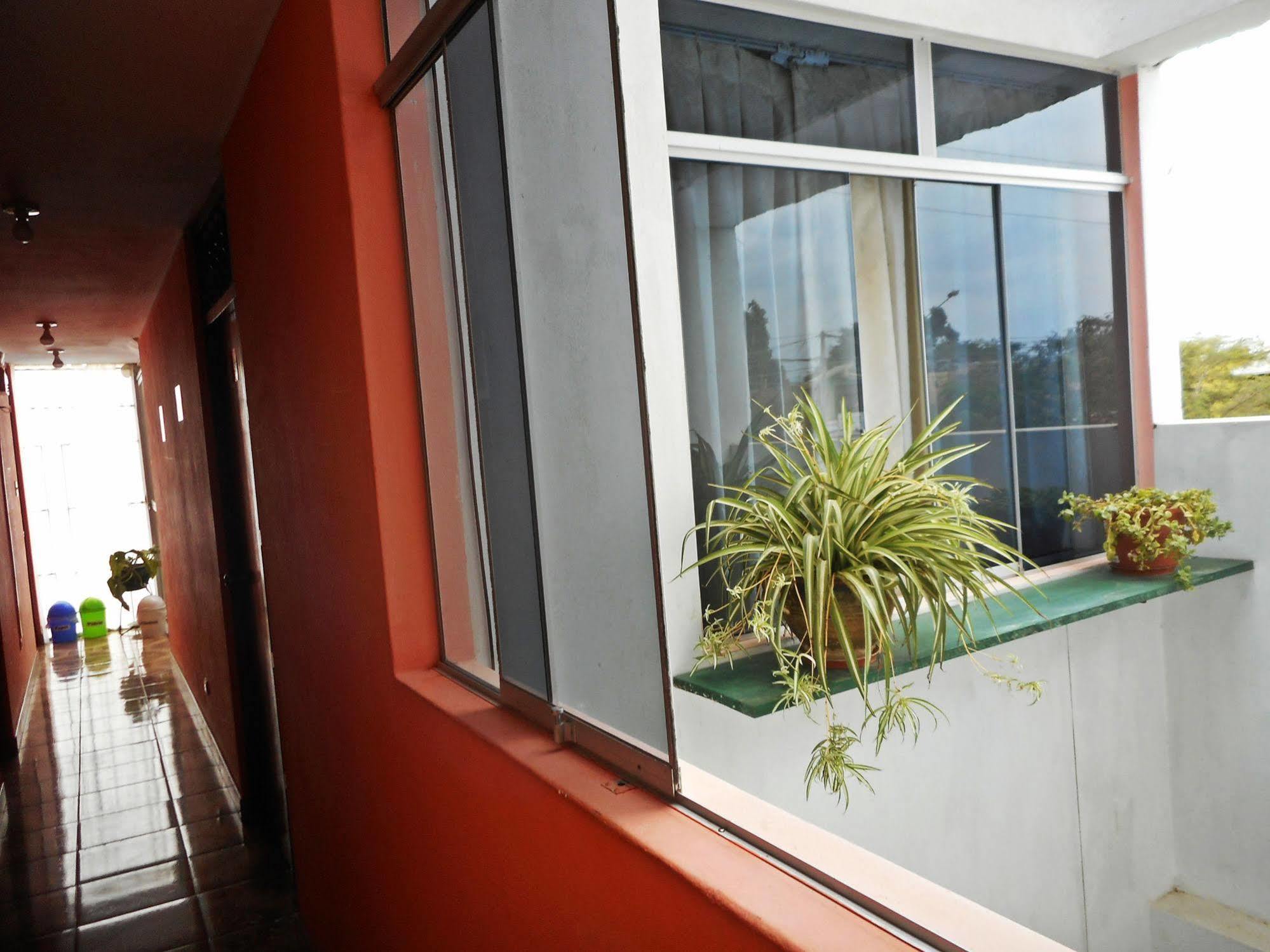 Hostal Geminis San Juan Bautista Zewnętrze zdjęcie